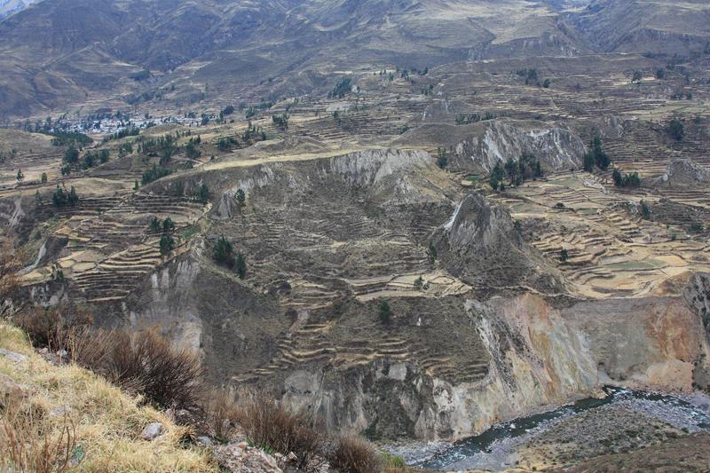 901-Canyon del Colca,15 luglio 2013.JPG
